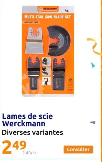 Lames de Scie Werckmann