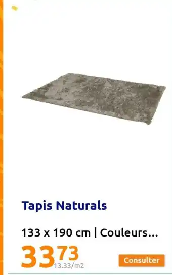 Action Tapis Naturals offre