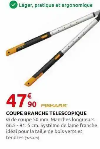 Rural Master Coupe branche téléscopique fiskars offre
