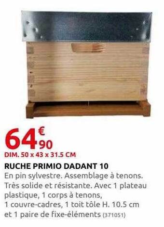 Rural Master Ruche primio dadant 10 offre