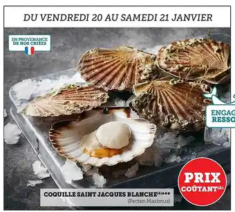 Super U Coquille saint jacques blanche offre