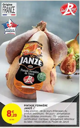 Pintade De Fermiére Janzé