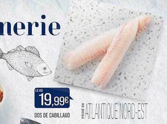Match Dos de cabillaud offre