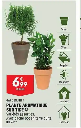 ALDI Gardeline plante aromatique sur tige offre