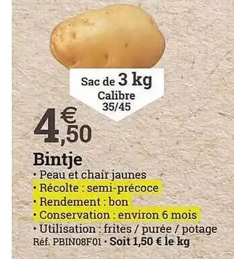 Bintje