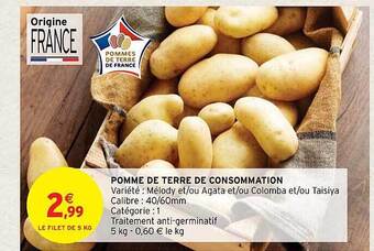 Pomme de terre de consommation