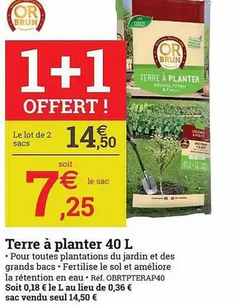 Espace emeraude Terre à planter 40l 1+1 offert offre