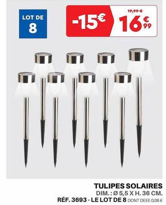 Shopix Tulipes solaires offre