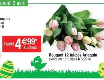 Cora x Carrefour Bouquet 12 tulipes Arlequin offre