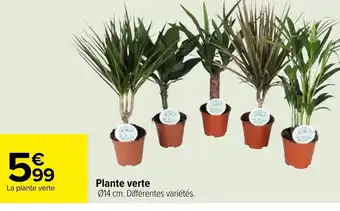Carrefour Plante Verte offre
