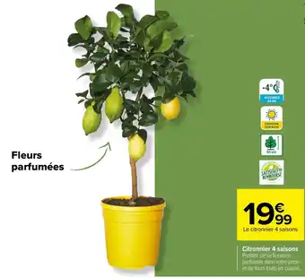 Carrefour Citronnier 4 Saisons offre