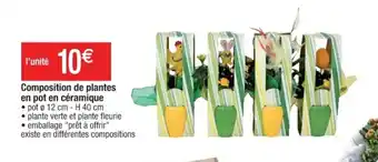 Cora x Carrefour Composition de plantes en pot en céramique offre