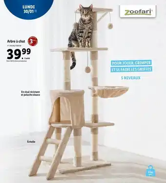 Lidl Arbre à chat zoofari offre