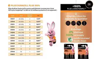 Plein ciel Piles duracell plus 100% offre