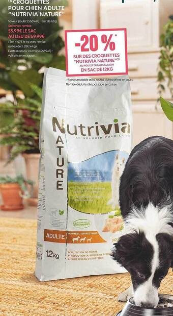 Truffaut Croquettes pour chien adulte offre