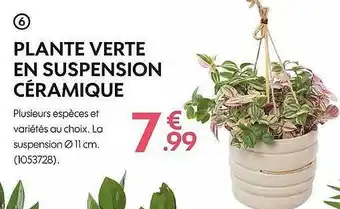 Truffaut Plante verte en suspension céramique offre