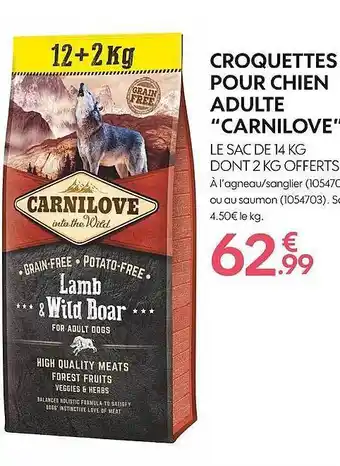 Truffaut Croquettes pour chien adulte offre
