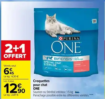 Carrefour Market Croquttes Pour Chat One offre