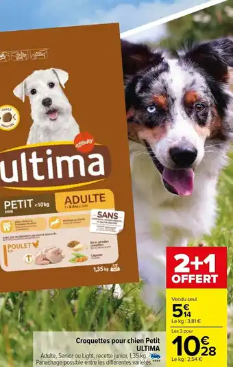 Carrefour Market Croquettes Pour Chein Petit Ultima offre