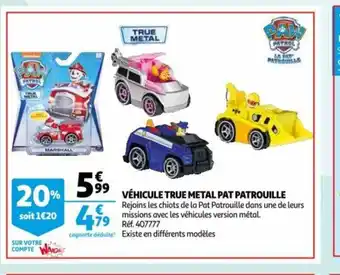 Auchan Vehicule True Metal Pat Parouille offre