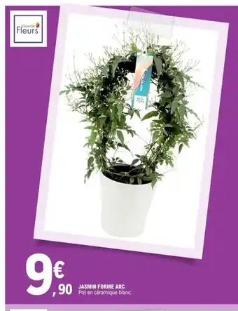 Jasmin Forme Arc