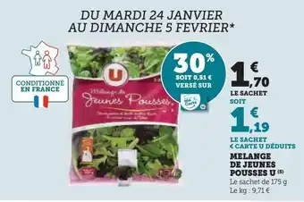 Hyper U Melange de jeunes pousses u offre