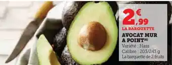 Avocat mur a point