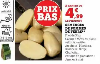 Hyper U Semences de pommes de terre offre