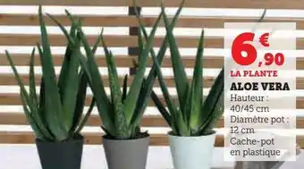Super U Aloe vera offre