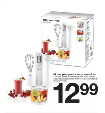 Zeeman Mixeur Plongeant Avec Accessoires Emerio offre