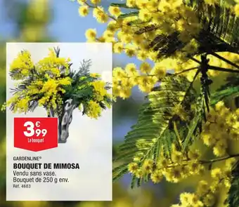 ALDI Bouquet de mimosa offre