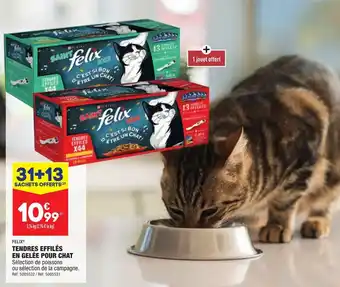 Tendres effilés en gelée pour chat