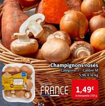 Colruyt Champignons Roses offre