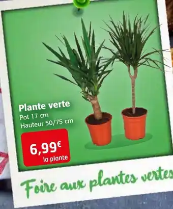 Colruyt Plante Verte offre