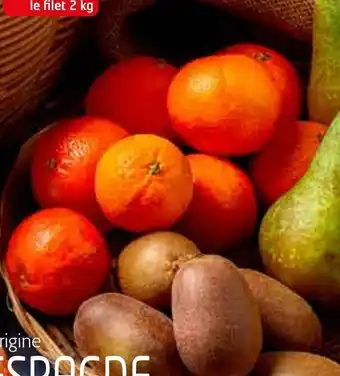 Mandarines Variétés Nadorcot/Tango