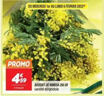 Bouquet de mimosa 250gr