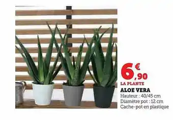 Aloé véra