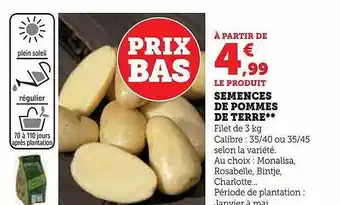 Hyper U Semences de pommes de terre offre