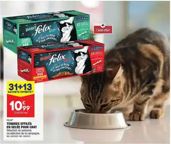 Tendres effilés en gelée pour chat felix
