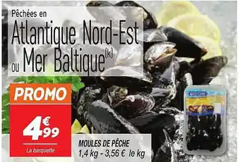 Moules de pêche
