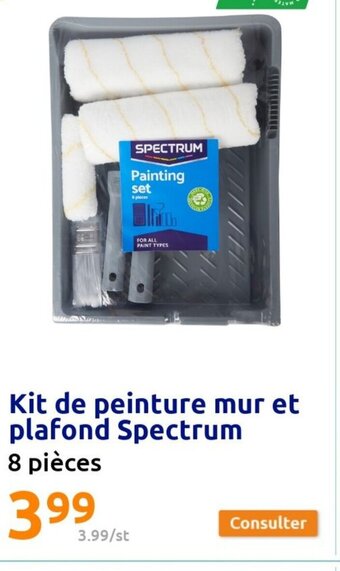 Action Kit de Peinture Mur Et Plafond Spectrum offre