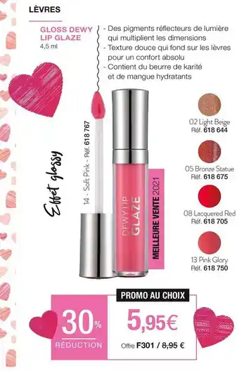 Stanhome Gloss dewy lip glaze offre
