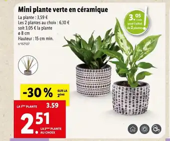 Lidl Mini Plante Verte En Céramique offre