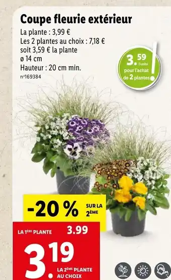 Lidl Coupe Fleurie Extérieur offre