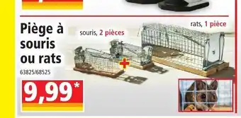 Norma Piege a Souris Ou Rats offre