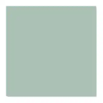 Castorama Carrelage mural vert 15x15cm glina offre