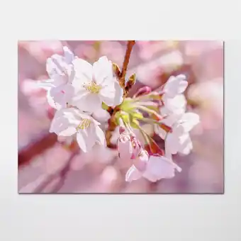 Castorama Poster intissé goodhome floraison 2 l.248 x h.184 cm offre