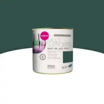 Castorama Peinture extérieure multi-supports vert basque satin colours 0,25l offre