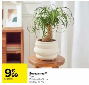 Carrefour Market Beaucarnea offre