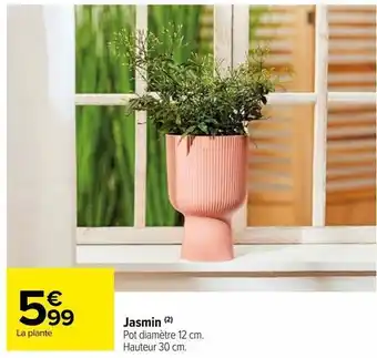 Jasmin